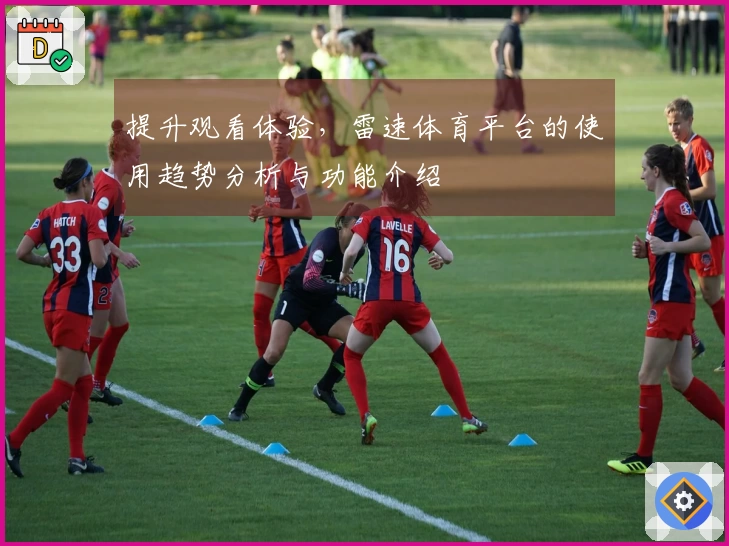 提升观看体验，雷速体育平台的使用趋势分析与功能介绍